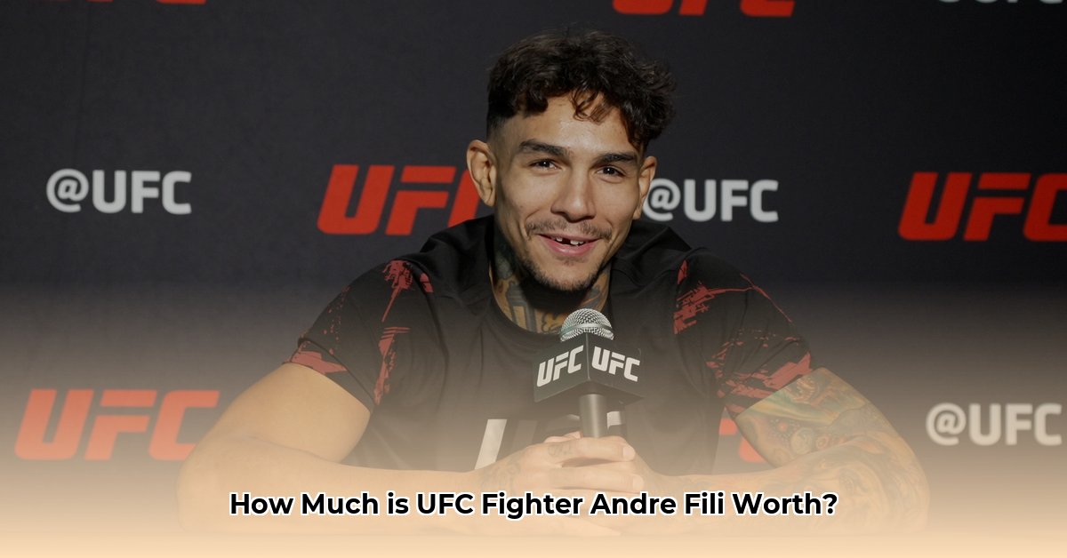 andre fili net worth